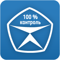 Качество 100%